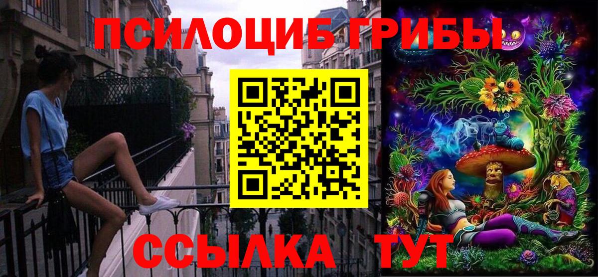 Сунжа  Псилоцибиновые грибы Cubensis  Вход с VPN 